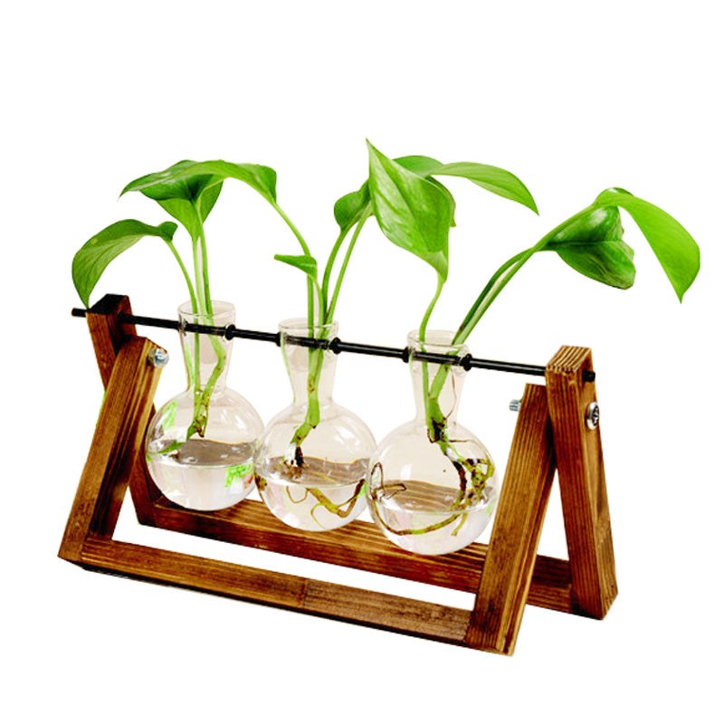 Swinging Wooden Stand Hydroponic Plant Container Glass Vase